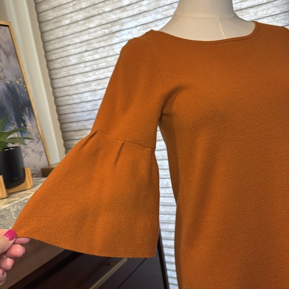 Woman's Moth by Anthropologie Chester Tunic Sweater Dress. Size XS - Picture 2 of 5